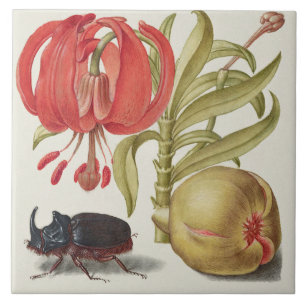 Azulejo De Cerâmica Vintage Botanical