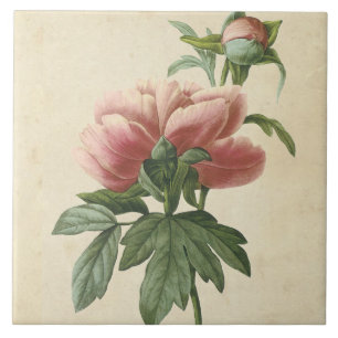 Azulejo De Cerâmica Vintage Botanical Peony