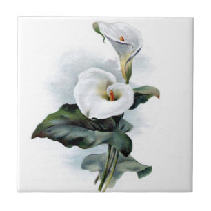 Azulejo De Cerâmica Vintage calla lily