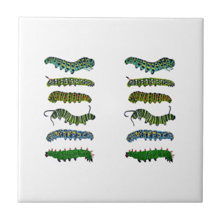 Azulejo De Cerâmica Vintage Caterpillar Illustration Mug 