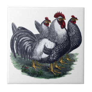 Azulejo De Cerâmica Vintage Chickens