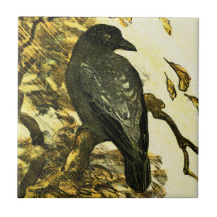 Azulejo De Cerâmica Vintage Crow Perch num galho Theo van Hoytema