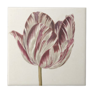 Azulejo De Cerâmica Vintage Dutch Art: White e Red Tulip