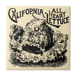 Azulejo De Cerâmica Vintage Era Vitoriana Fruta E Alface Vegetal