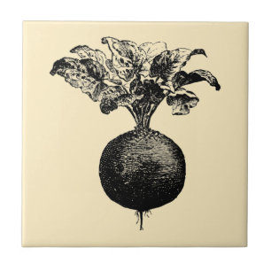 Azulejo De Cerâmica Vintage Era Vitoriana Fruta e Beterraba Vegetal