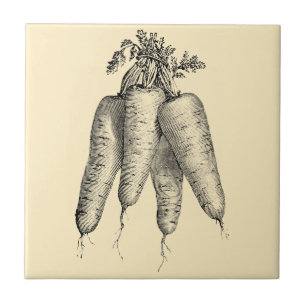 Azulejo De Cerâmica Vintage Era Vitoriana Fruta e Produtos Hortícolas