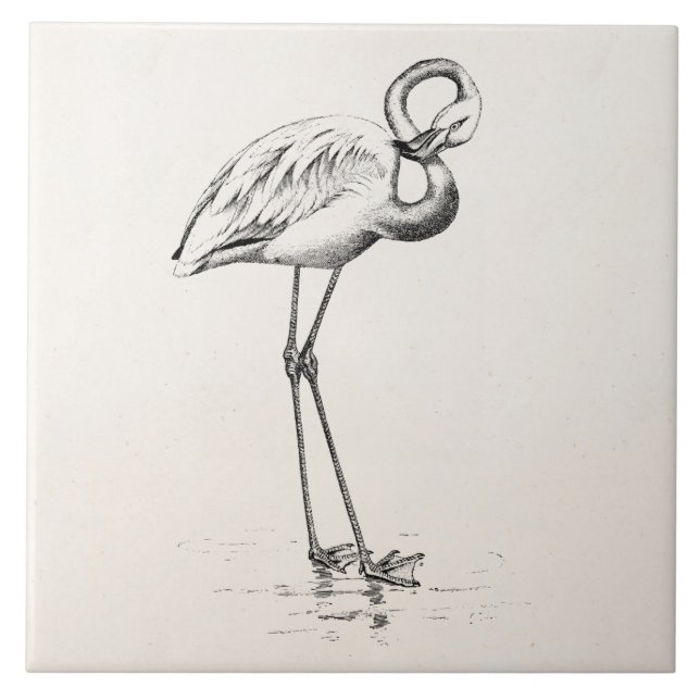 Azulejo De Cerâmica Vintage Flamingo Bird Antiguidade Modelo (Frente)