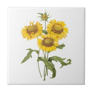 Azulejo De Cerâmica Vintage Floral Flor Flor Sunflower por Redoute