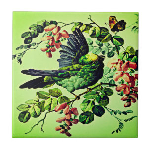 Azulejo De Cerâmica Vintage Green Bird Illustration de L. Toque e Co 