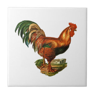 Azulejo De Cerâmica Vintage Green Tail Feather Rooster Cockerel