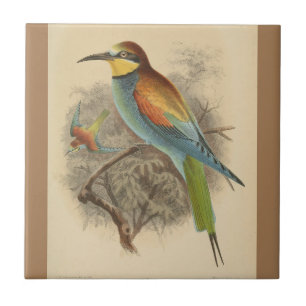 Azulejo De Cerâmica Vintage - Ilustração do Bee-Eater Europeu