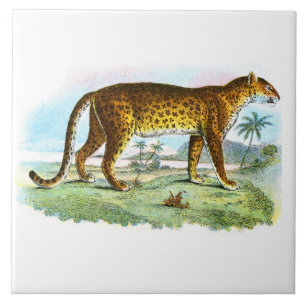 Azulejo De Cerâmica Vintage Leopard Animal Illustration