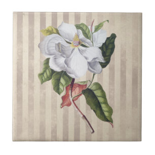 Azulejo De Cerâmica Vintage Magnolia Flower on Strips