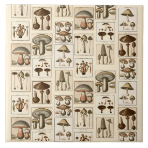 Azulejo De Cerâmica Vintage Mushroom Botanical Impressões Trivet