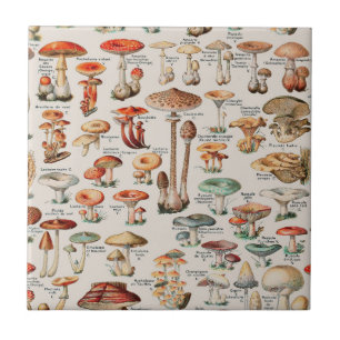Azulejo De Cerâmica Vintage Mushroom Fungus Ilustração I