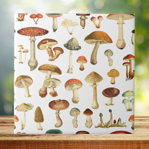 Azulejo De Cerâmica Vintage Mushroom - Padrão sem costura