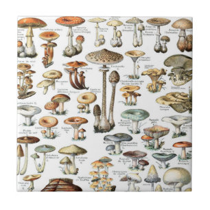 Azulejo De Cerâmica Vintage Mushroom Pattern