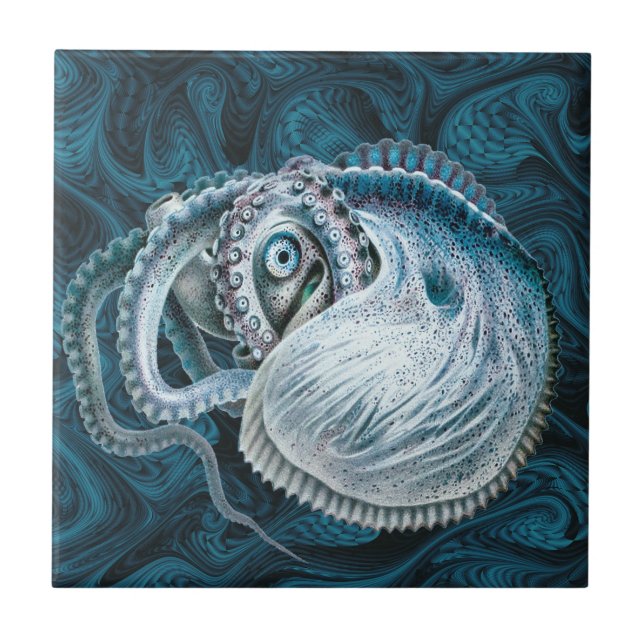 Azulejo De Cerâmica Vintage Octopus Squid Nautilus Argonaut (Frente)