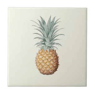 Azulejo De Cerâmica Vintage Pineapple Cream