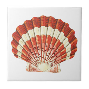 Azulejo De Cerâmica Vintage Red e Pale Yellow Scallop shell Acrílico 