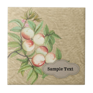 Azulejo De Cerâmica Vintage Rustic Peach Farmstand