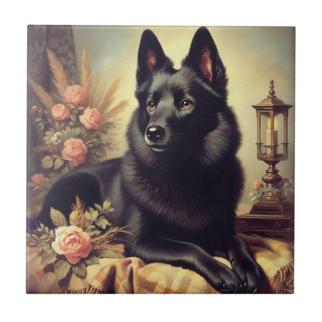 Azulejo De Cerâmica Vintage Schipperke Dog Painting (Frente)