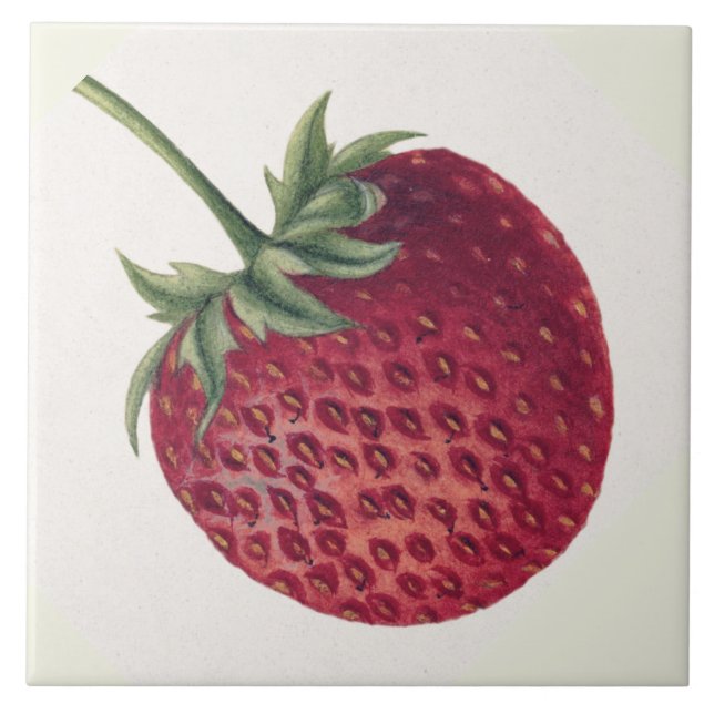 Azulejo De Cerâmica Vintage Strawberry (Frente)