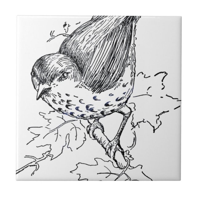 Azulejo De Cerâmica Vintage Thrush Black and White (Frente)