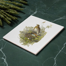 Azulejo De Cerâmica Vintage Thrush Guarda Seus Ovos