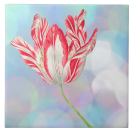 Azulejo De Cerâmica Vintage Tulip Cerâmica Azulejo