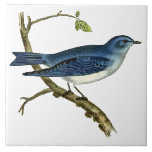 Azulejo De Cerâmica Vintage Victorian Era 1825 Bluebird Art