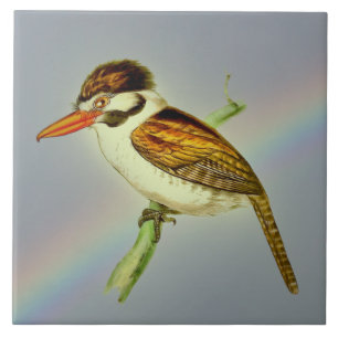 Azulejo De Cerâmica Vintage White Eared Puff Bird com o Rainbow Sky