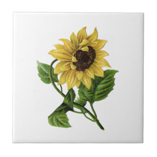 Azulejo De Cerâmica Vintage Yellow Sunflower