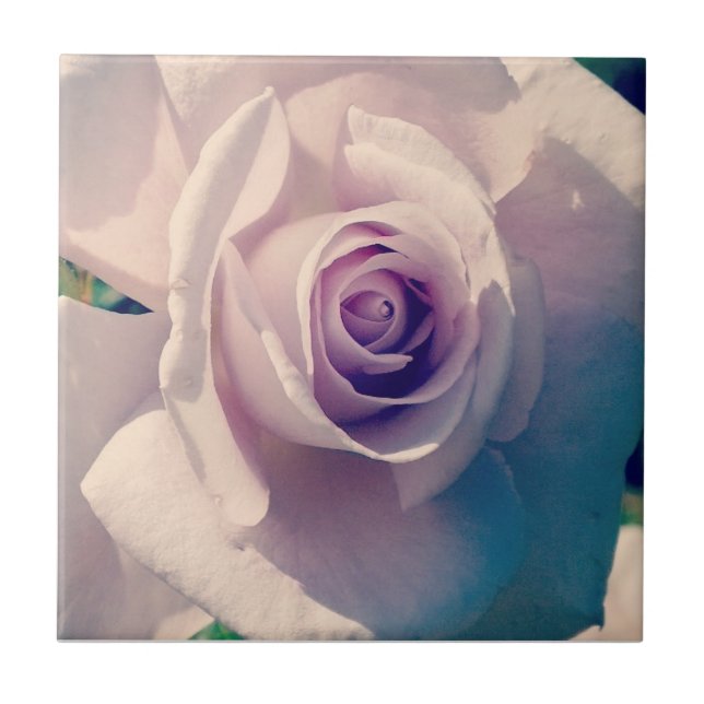 Azulejo De Cerâmica Violet Rosa (Frente)