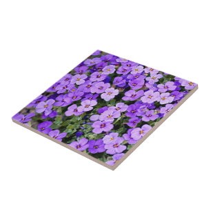 Azulejo De Cerâmica Violetas