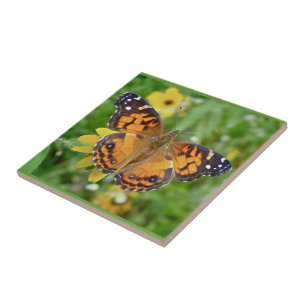 Azulejo De Cerâmica Virginiensis americano da senhora Borboleta - da