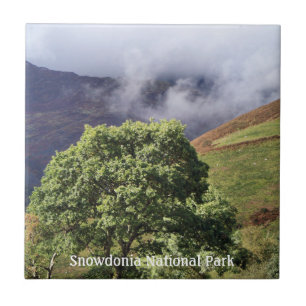 AZULEJO DE CERÂMICA VISÕES DAS PAREDES