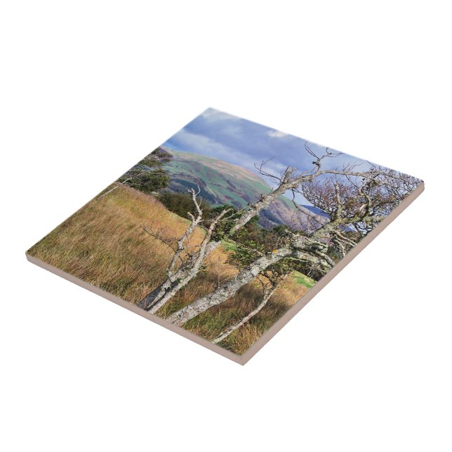 AZULEJO DE CERÂMICA  VISÕES DAS PAREDES (Lateral)