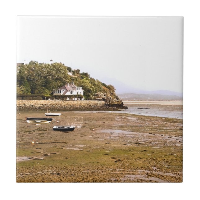 AZULEJO DE CERÂMICA  VISÕES DAS PAREDES (Frente)