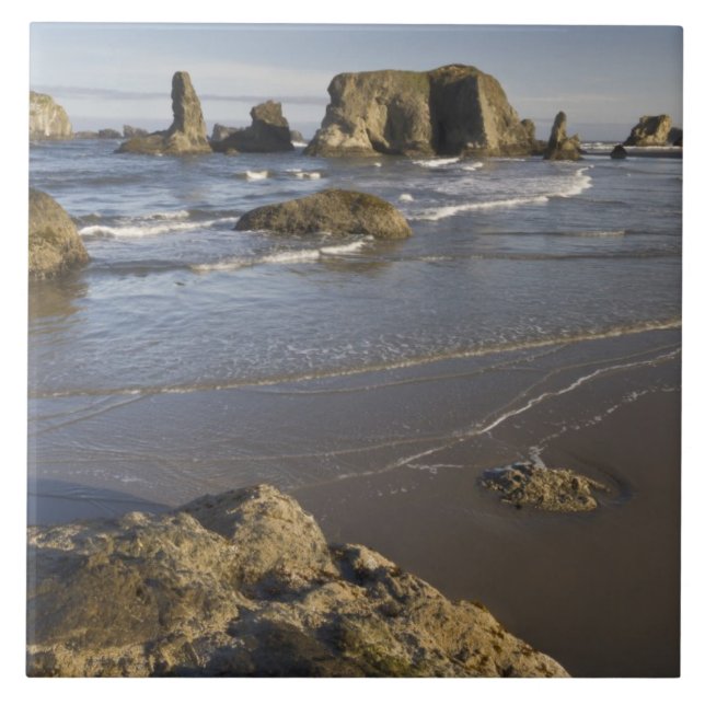 Azulejo De Cerâmica Vista costeira, Bandon, Oregon (Frente)