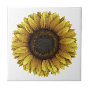 Azulejo De Cerâmica Vivid Sunflower Botanical Art Design