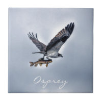 Voando Osprey com Walleye Fish HDR Foto