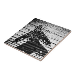 Azulejo De Cerâmica volta