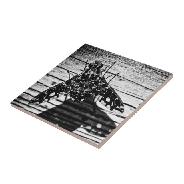 Azulejo De Cerâmica volta (Lateral)