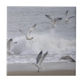 Azulejo De Cerâmica Voo