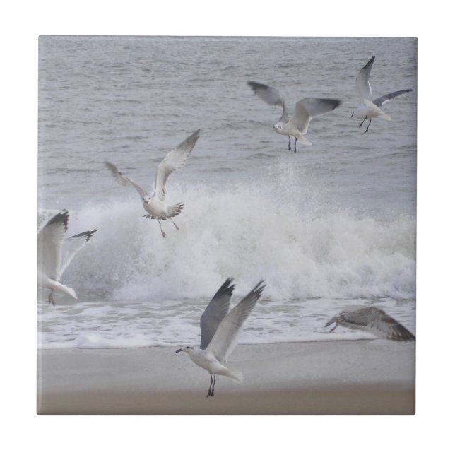 Azulejo De Cerâmica Voo (Frente)