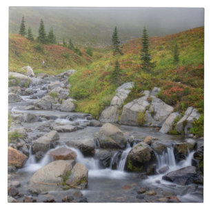 Azulejo De Cerâmica WA, Mt. Rainier National Park, Edith Creek