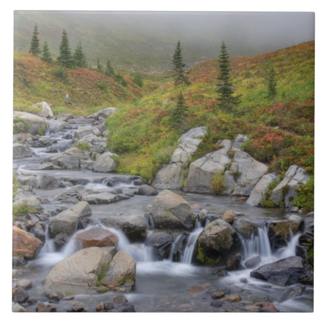 Azulejo De Cerâmica WA, Mt. Rainier National Park, Edith Creek (Frente)