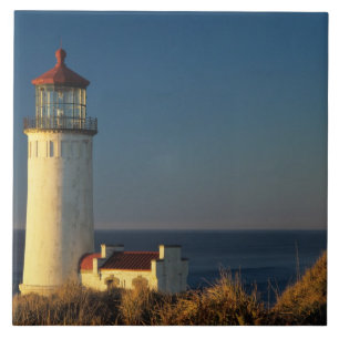 Azulejo De Cerâmica WA, Parque Estadual Cape Disappointment, North Hea
