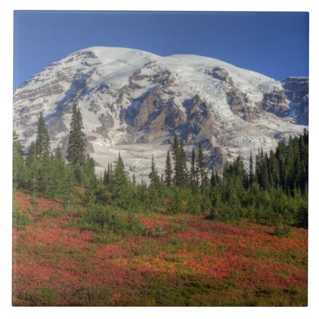 Azulejo De Cerâmica WA, Parque Nacional do Mt. Rainier, Vale do Paraís (Frente)